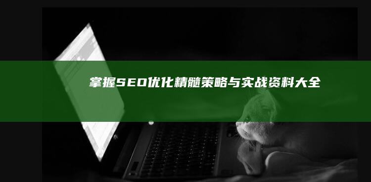 掌握SEO优化精髓：策略与实战资料大全